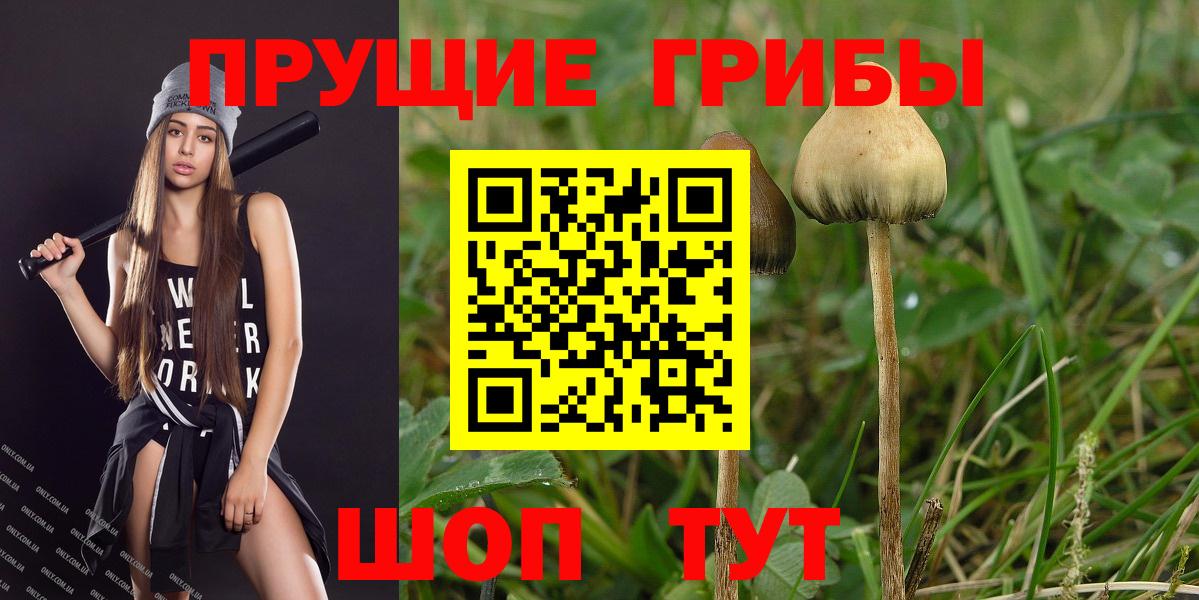 Мичуринск  купить закладку  Вход с VPN  Галлюциногенные грибы мухоморы 