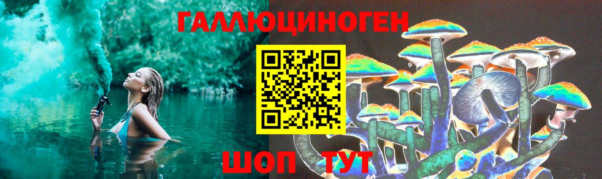 Псилоцибиновые грибы мицелий Мичуринск